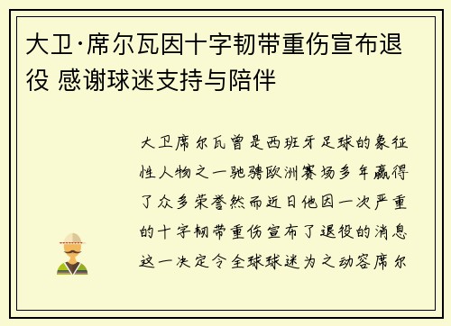 大卫·席尔瓦因十字韧带重伤宣布退役 感谢球迷支持与陪伴 大卫·席尔瓦因十字韧带重伤宣布退役 感谢球迷支持与陪伴